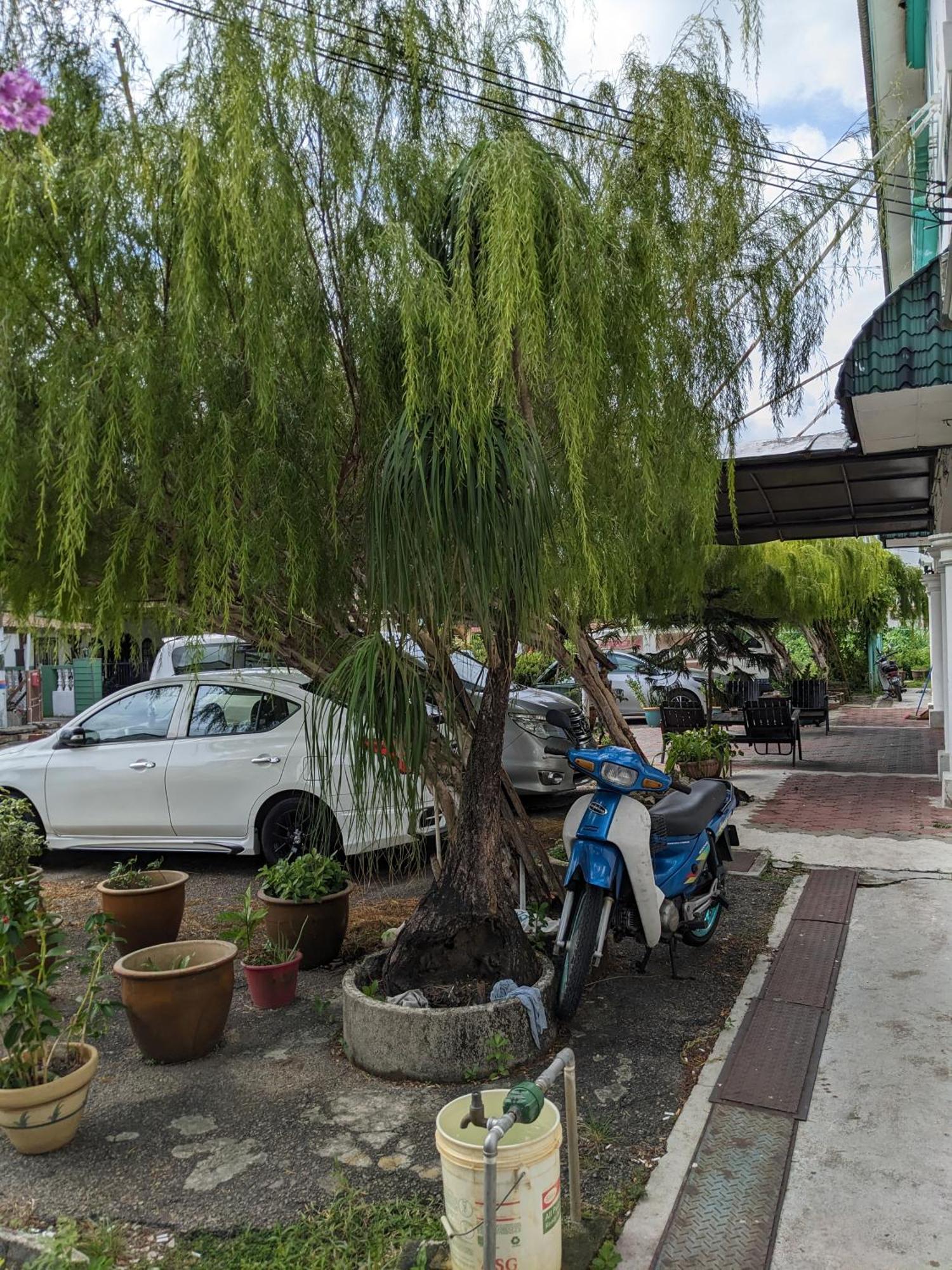 Ene Sri Cemerlang โกตาบารู ภายนอก รูปภาพ