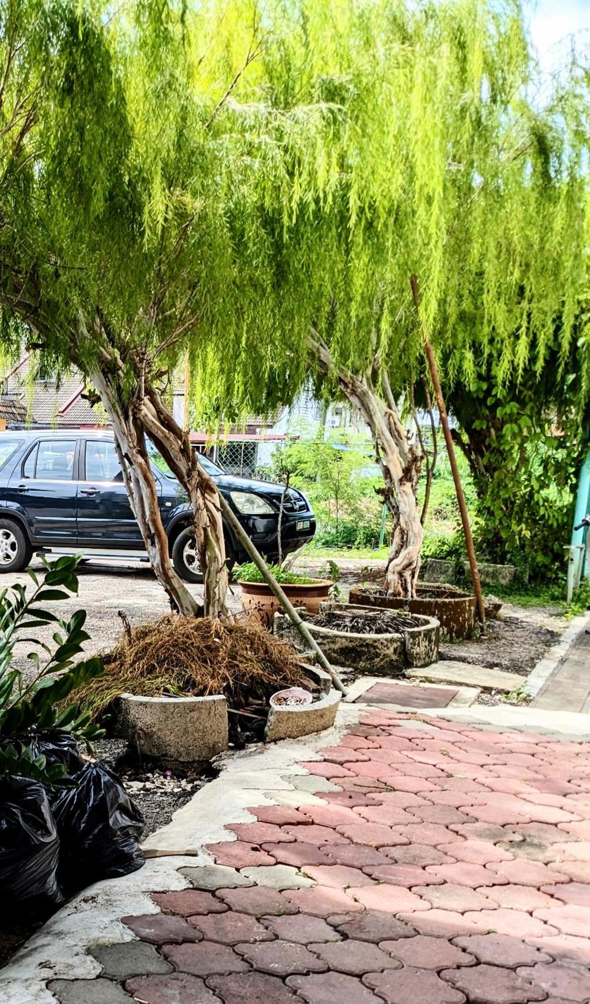 Ene Sri Cemerlang โกตาบารู ภายนอก รูปภาพ
